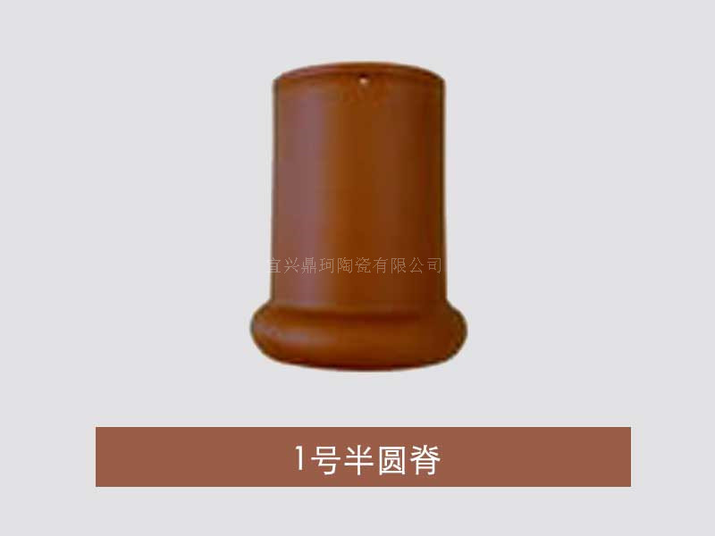 1号半圆脊.jpg